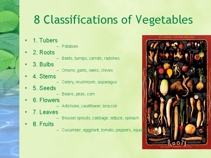 8 Classifications of Vegetables • 1. Tubers – Potatoes • 2. Roots – Beets,