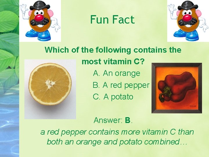 Fun Fact Which of the following contains the most vitamin C? A. An orange