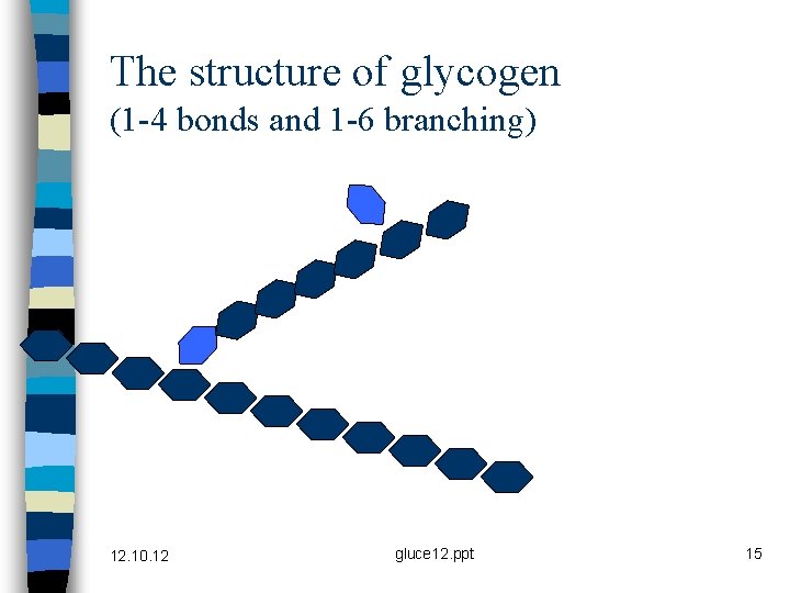 The structure of glycogen (1 -4 bonds and 1 -6 branching) 12. 10. 12