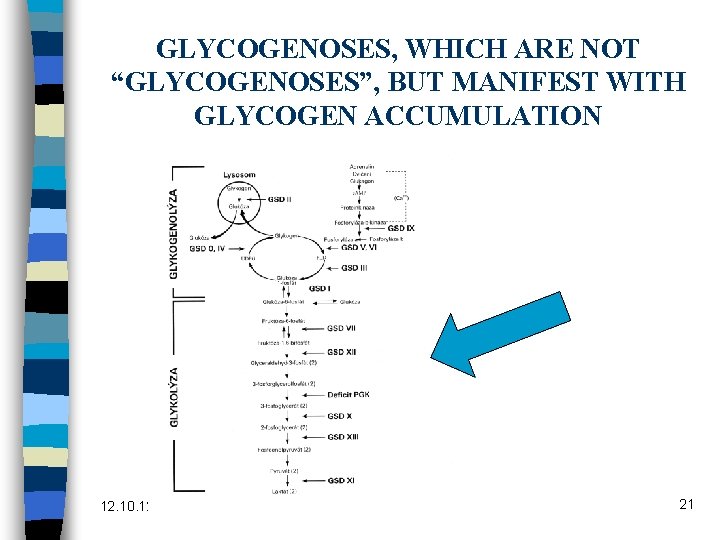 GLYCOGENOSES, WHICH ARE NOT “GLYCOGENOSES”, BUT MANIFEST WITH GLYCOGEN ACCUMULATION 12. 10. 12 gluce