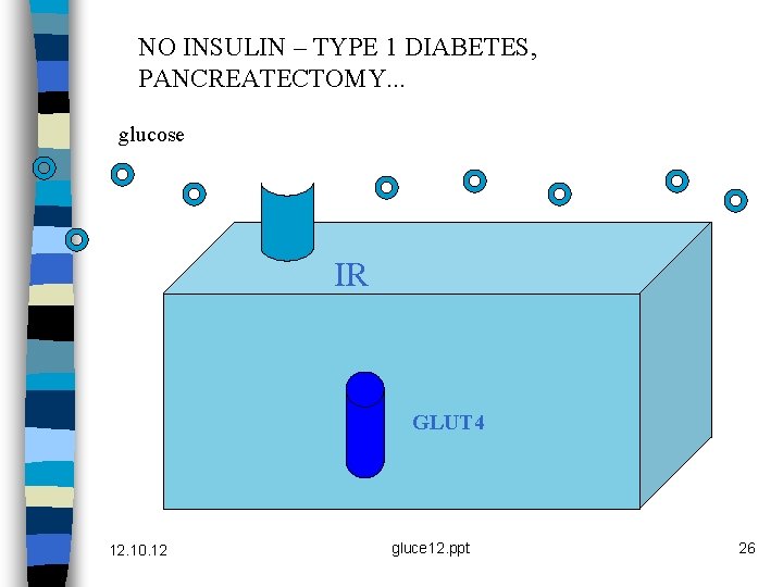 NO INSULIN – TYPE 1 DIABETES, PANCREATECTOMY. . . glucose IR GLUT 4 12.