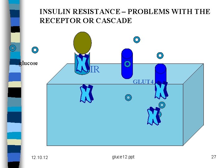 INSULIN RESISTANCE – PROBLEMS WITH THE RECEPTOR OR CASCADE glucose IR GLUT 4 12.