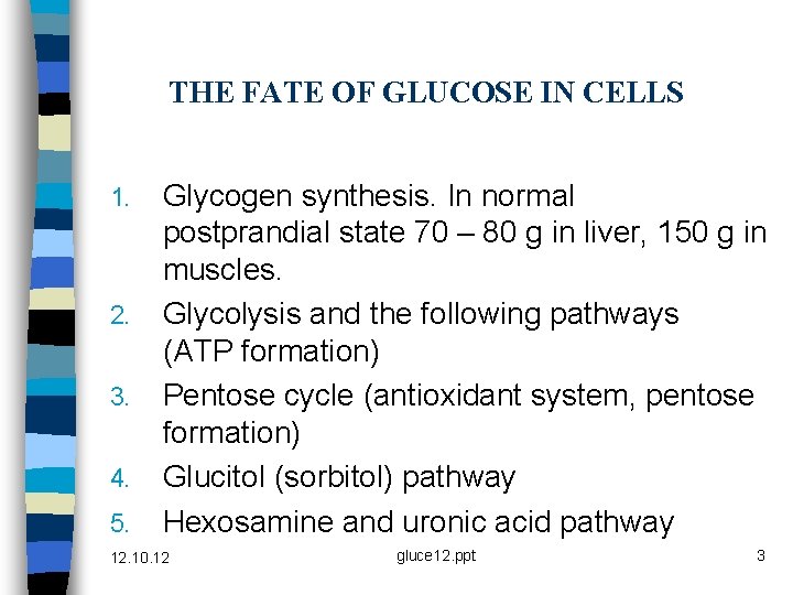 THE FATE OF GLUCOSE IN CELLS 1. 2. 3. 4. 5. Glycogen synthesis. In