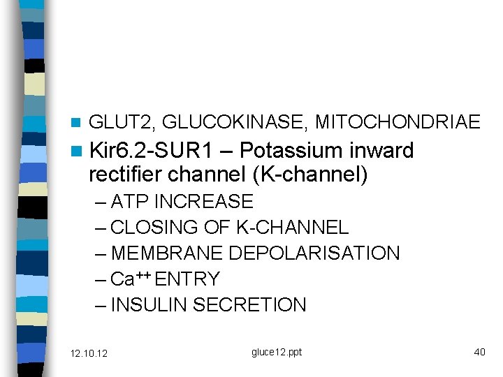 n GLUT 2, GLUCOKINASE, MITOCHONDRIAE n Kir 6. 2 -SUR 1 – Potassium inward