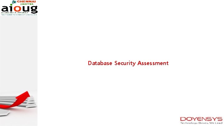 Database Security Assessment 