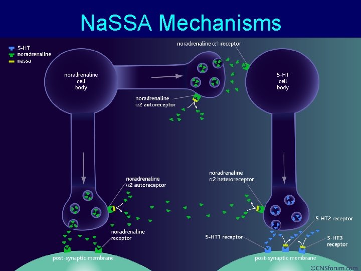 Na. SSA Mechanisms 