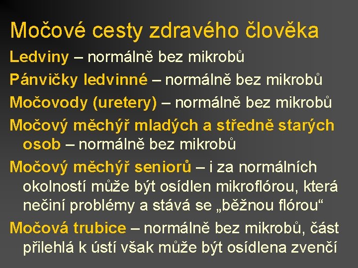 Močové cesty zdravého člověka Ledviny – normálně bez mikrobů Pánvičky ledvinné – normálně bez