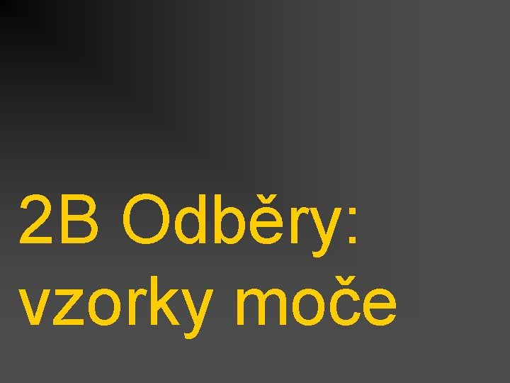 2 B Odběry: vzorky moče 