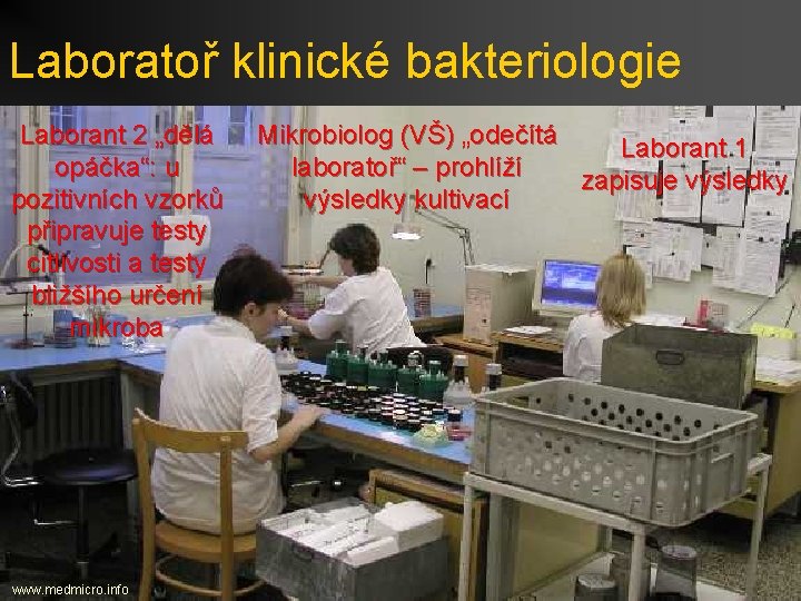 Laboratoř klinické bakteriologie Laborant 2 „dělá Mikrobiolog (VŠ) „odečítá Laborant 1 opáčka“: u laboratoř“