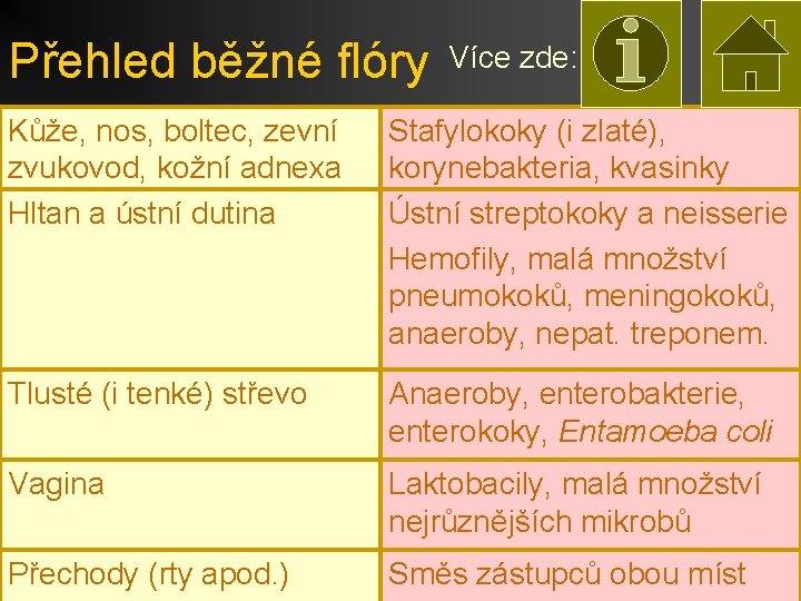 Přehled běžné flóry Více zde: Kůže, nos, boltec, zevní zvukovod, kožní adnexa Hltan a