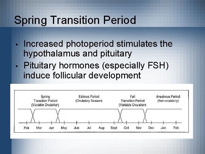 Spring Transition Period • • Increased photoperiod stimulates the hypothalamus and pituitary Pituitary hormones