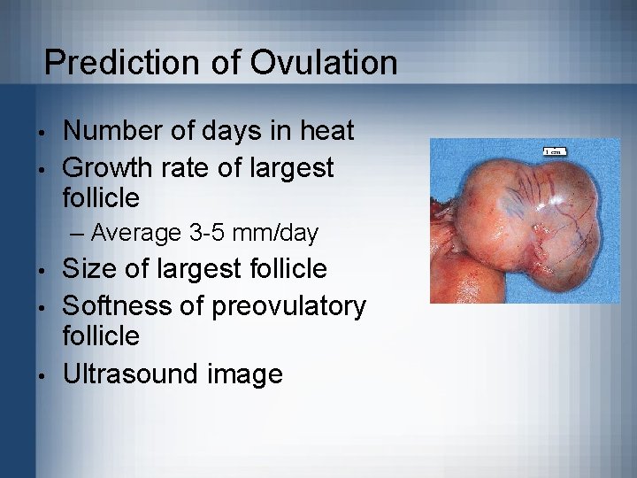 Prediction of Ovulation • • Number of days in heat Growth rate of largest