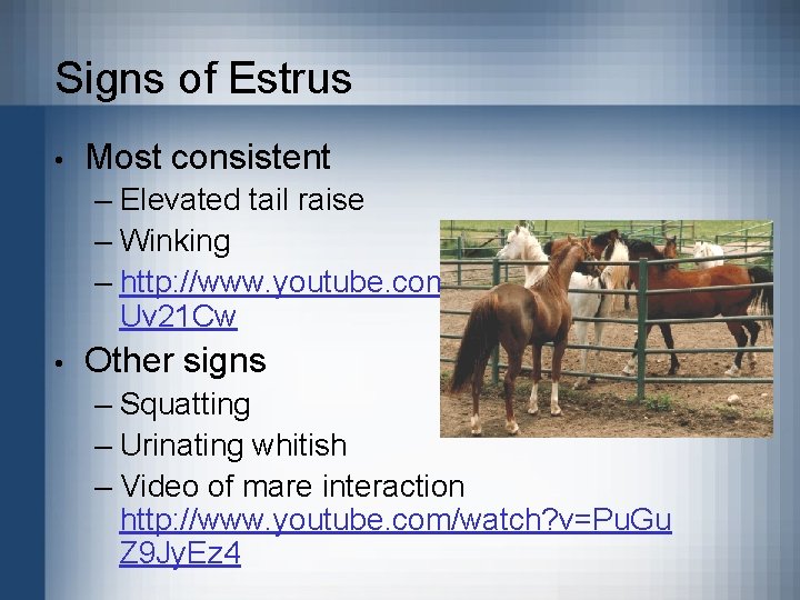 Signs of Estrus • Most consistent – Elevated tail raise – Winking – http: