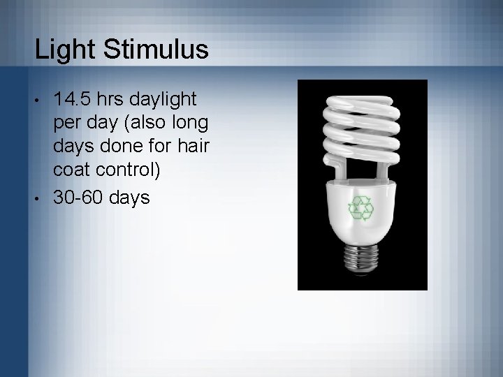 Light Stimulus • • 14. 5 hrs daylight per day (also long days done