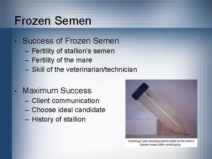 Frozen Semen • Success of Frozen Semen – Fertility of stallion’s semen – Fertility