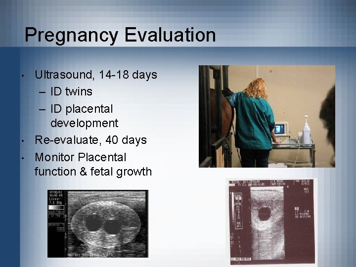 Pregnancy Evaluation • • • Ultrasound, 14 -18 days – ID twins – ID