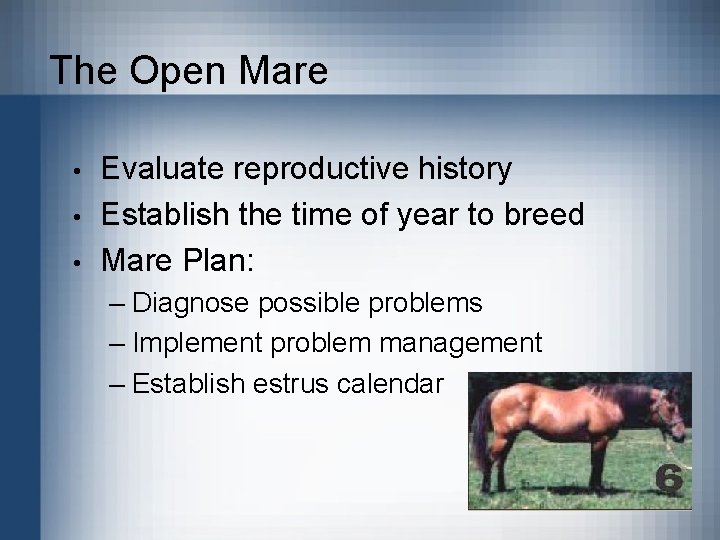 The Open Mare • • • Evaluate reproductive history Establish the time of year