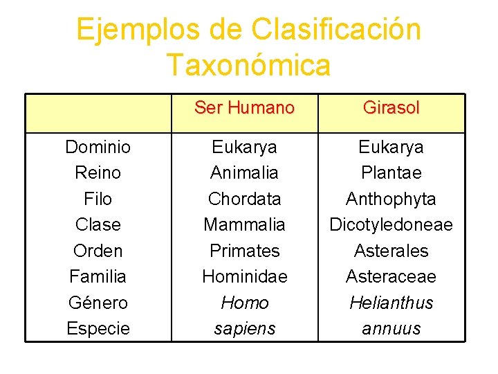 Ejemplos de Clasificación Taxonómica Dominio Reino Filo Clase Orden Familia Género Especie Ser Humano
