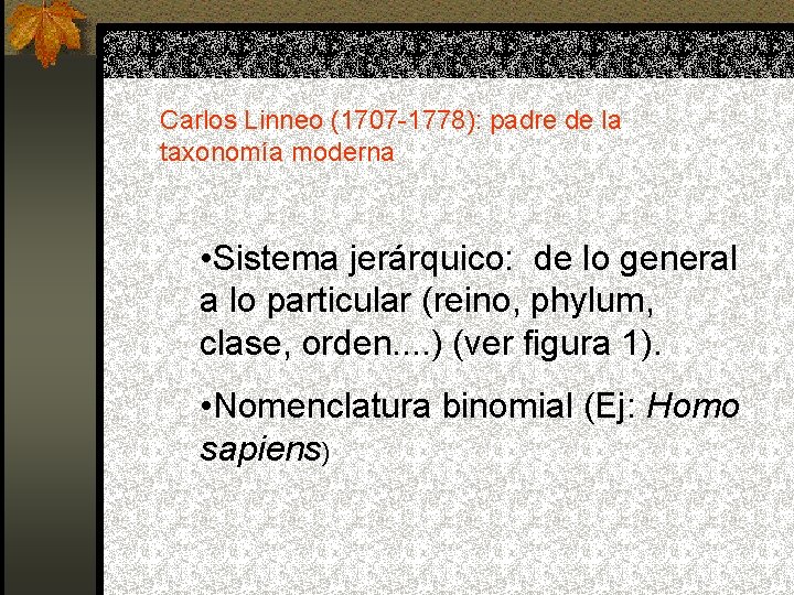 Carlos Linneo (1707 -1778): padre de la taxonomía moderna • Sistema jerárquico: de lo