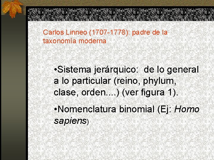 Carlos Linneo (1707 -1778): padre de la taxonomía moderna • Sistema jerárquico: de lo Carlos Linneo (1707 -1778): padre de la taxonomía moderna • Sistema jerárquico: de lo