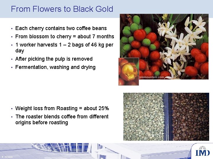From Flowers to Black Gold • Each cherry contains two coffee beans • From
