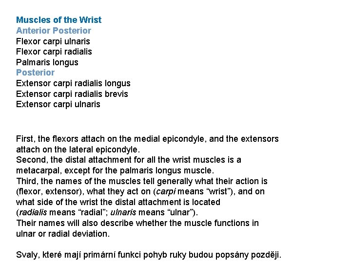 Muscles of the Wrist Anterior Posterior Flexor carpi ulnaris Flexor carpi radialis Palmaris longus