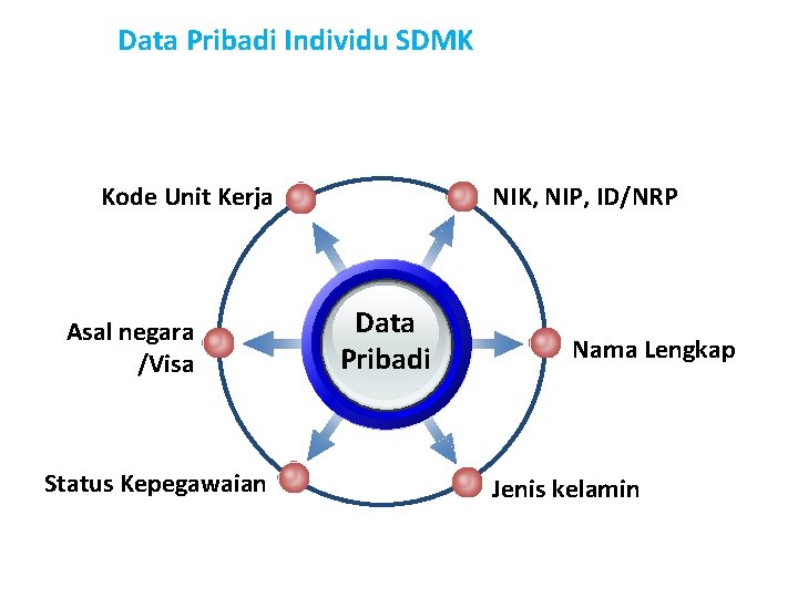 Data Pribadi Individu SDMK Kode Unit Kerja Asal negara /Visa Status Kepegawaian NIK, NIP,