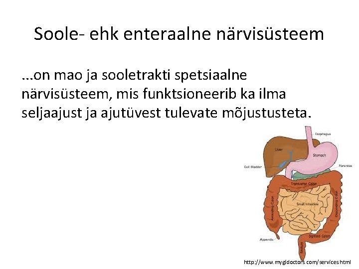 Soole- ehk enteraalne närvisüsteem. . . on mao ja sooletrakti spetsiaalne närvisüsteem, mis funktsioneerib