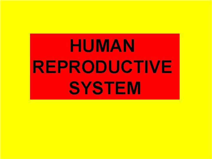 HUMAN REPRODUCTIVE SYSTEM 