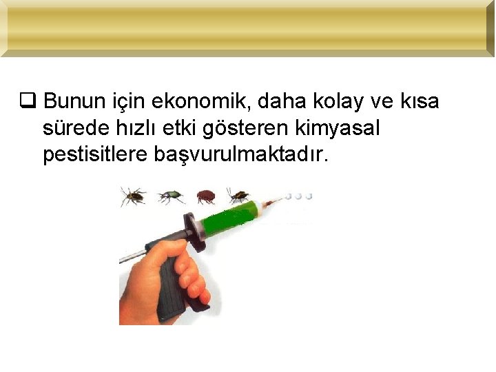 q Bunun için ekonomik, daha kolay ve kısa sürede hızlı etki gösteren kimyasal pestisitlere