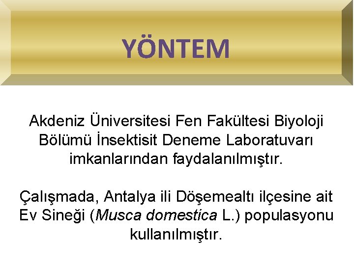 YÖNTEM Akdeniz Üniversitesi Fen Fakültesi Biyoloji Bölümü İnsektisit Deneme Laboratuvarı imkanlarından faydalanılmıştır. Çalışmada, Antalya