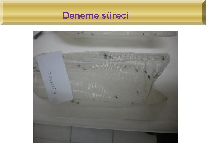 Deneme süreci 