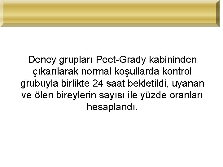 Deney grupları Peet-Grady kabininden çıkarılarak normal koşullarda kontrol grubuyla birlikte 24 saat bekletildi, uyanan