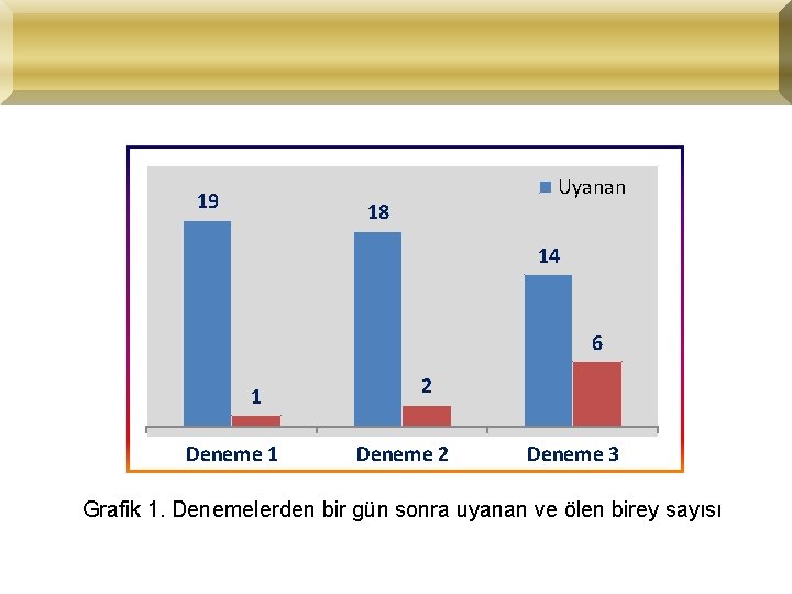 19 Uyanan 18 14 6 1 Deneme 1 2 Deneme 3 Grafik 1. Denemelerden