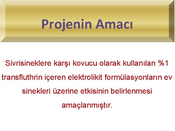 Projenin Amacı Sivrisineklere karşı kovucu olarak kullanılan %1 transfluthrin içeren elektrolikit formülasyonların ev sinekleri