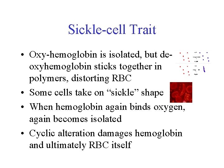 Sickle-cell Trait • Oxy-hemoglobin is isolated, but deoxyhemoglobin sticks together in polymers, distorting RBC