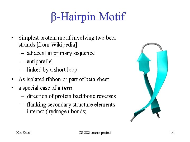 β-Hairpin Motif • Simplest protein motif involving two beta strands [from Wikipedia] – adjacent