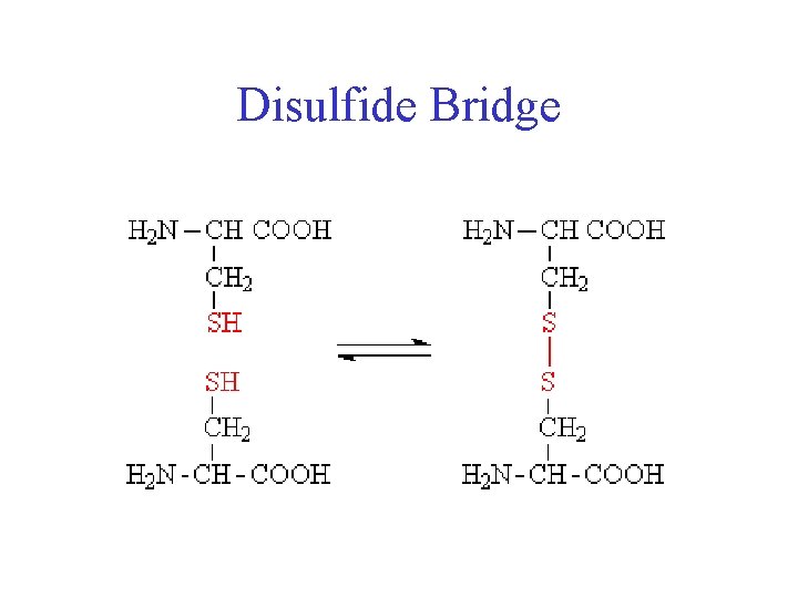 Disulfide Bridge 