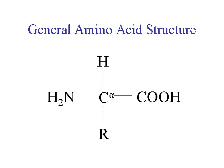 General Amino Acid Structure H H 2 N α C R COOH 