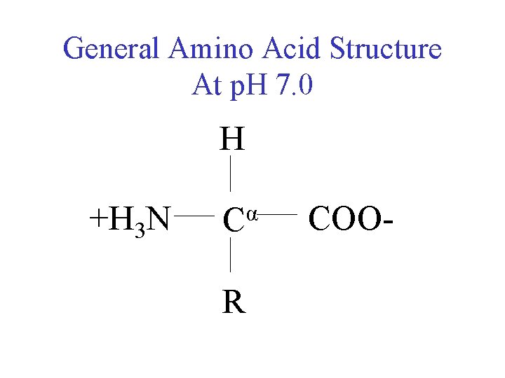 General Amino Acid Structure At p. H 7. 0 H +H 3 N α