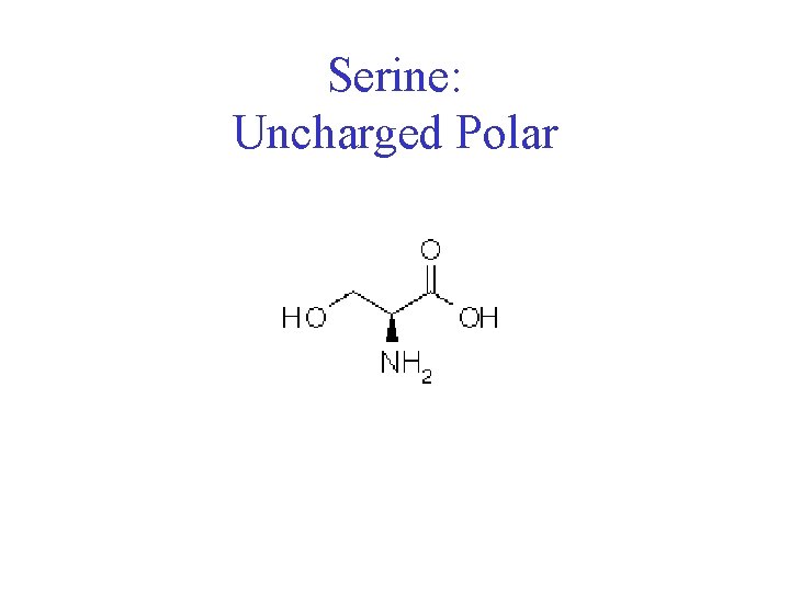 Serine: Uncharged Polar 