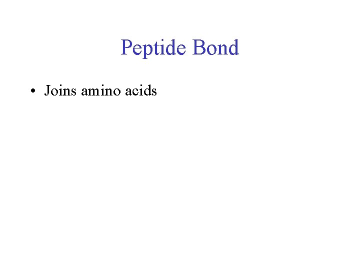 Peptide Bond • Joins amino acids 