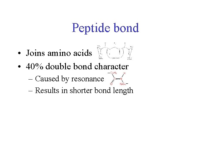 Peptide bond • Joins amino acids • 40% double bond character – Caused by