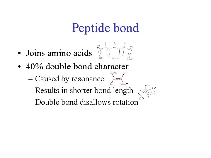 Peptide bond • Joins amino acids • 40% double bond character – Caused by