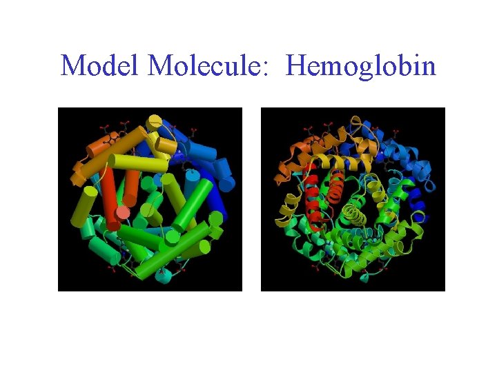 Model Molecule: Hemoglobin 
