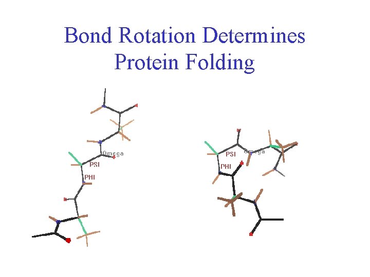 Bond Rotation Determines Protein Folding 