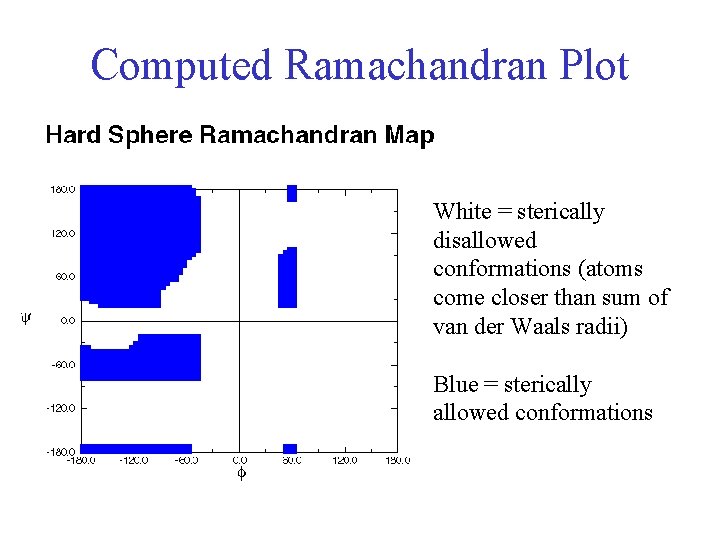 Computed Ramachandran Plot White = sterically disallowed conformations (atoms come closer than sum of