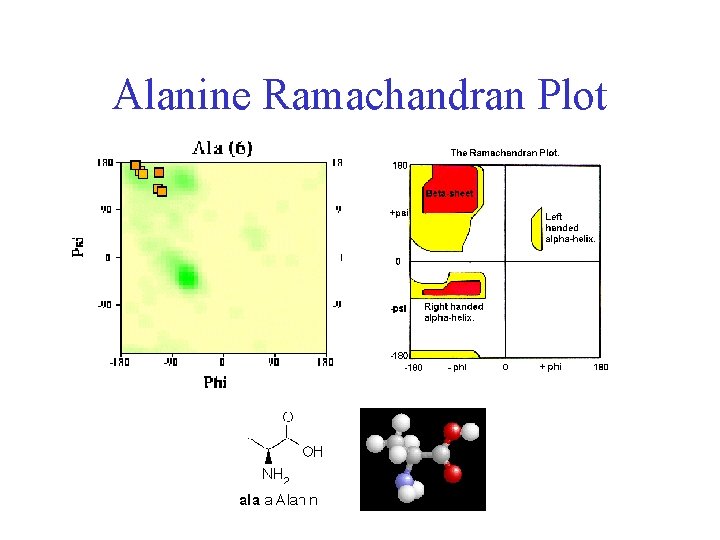 Alanine Ramachandran Plot 