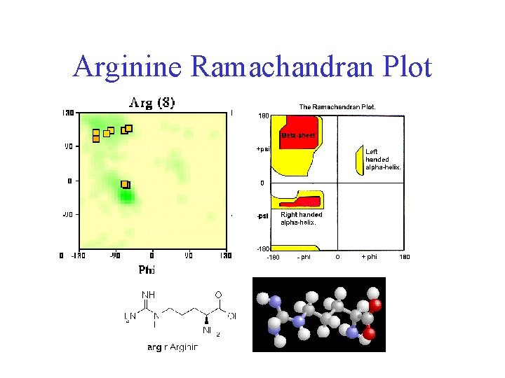 Arginine Ramachandran Plot 