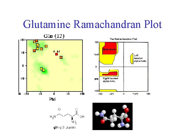 Glutamine Ramachandran Plot 